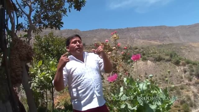 LOS PUKAS: AGUA DEL OLVIDO смотреть онлайн