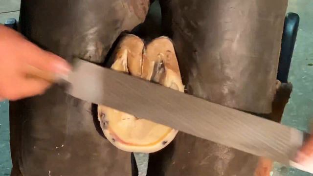 Видео 3 смотреть онлайн