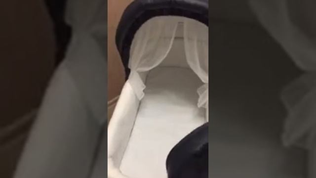 Roan Marita Prestige 2в1 экокожа.