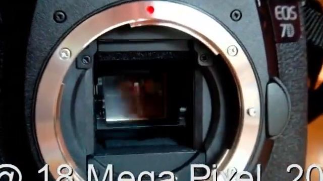 Canon 7D 20 second Burst Test смотреть онлайн