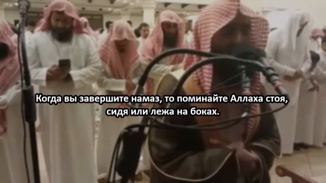Мухаммад аль Люхайдан | Сура ан Ниса, 60-147 смотреть онлайн