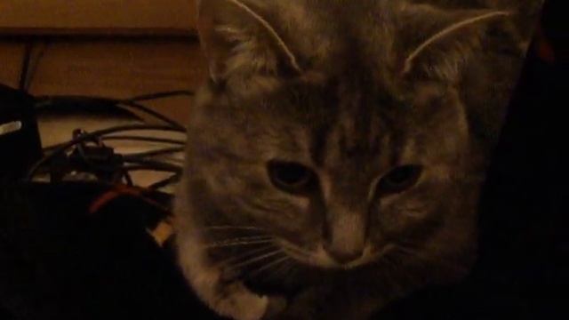 Nikon P90 Low Light Video Test смотреть онлайн
