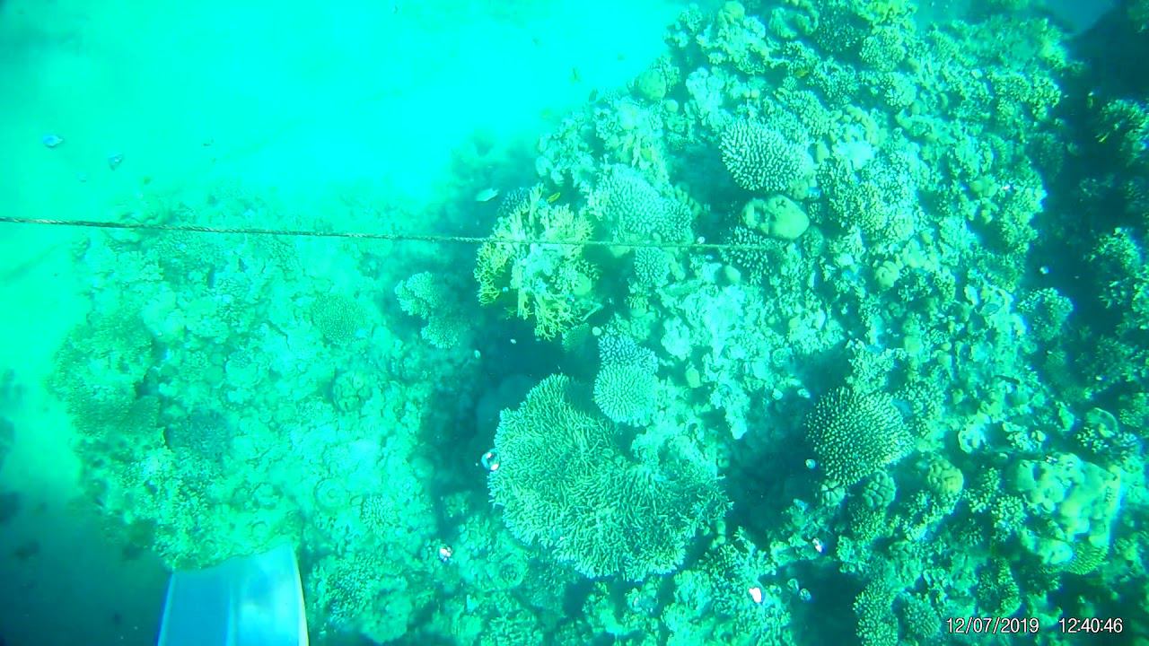 Красное море ч 3 смотреть онлайн