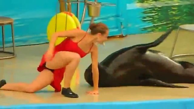 Танго с красоткой. Tango with beauty смотреть онлайн