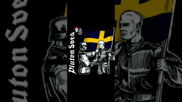 Pluton Svea - My Blood Is My Honour