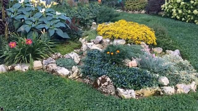 Обустройство двора и сада. Калейдоскоп идей смотреть онлайн