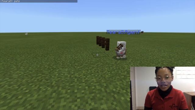 Coding with Minecraft class смотреть онлайн