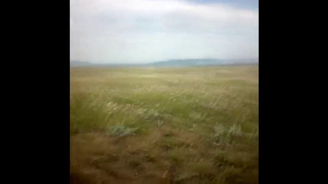 16 августа 2015 год на территории ГНПП "Бурабай" произошел пожар смотреть онлайн