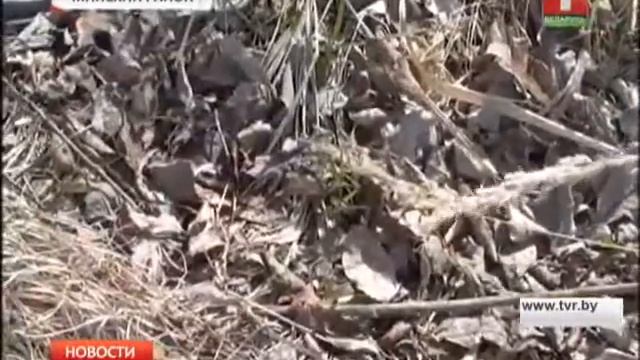Чистый водоем смотреть онлайн
