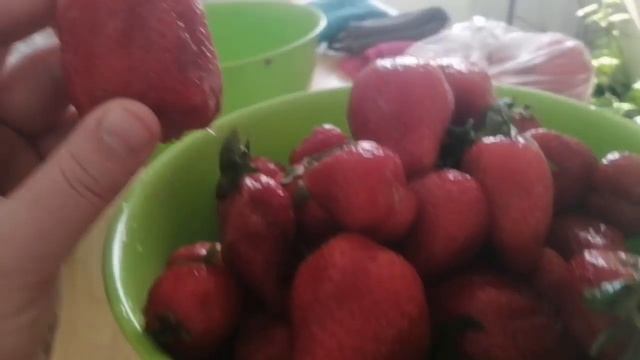 За клубникой. Покупка неналазит? смотреть онлайн