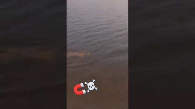 Самая жуткая находка во время магнитной рыбалки #магнит #рыбалка #находки смотреть онлайн