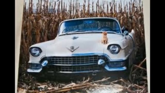 Chuck Berry - No Money Down смотреть онлайн