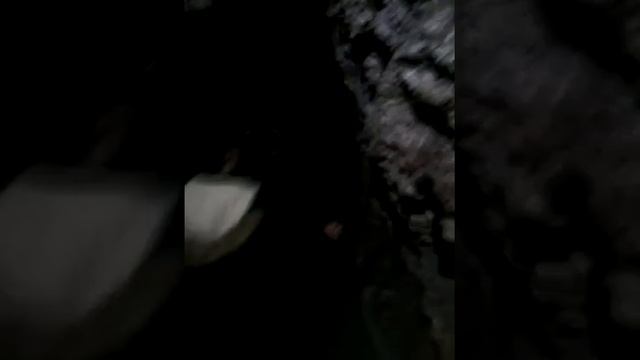 Кришталева печера смотреть онлайн