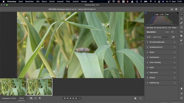 photoshop - Fotos extrem vergrößern / interpolieren ? MEGA einfach mit einem Klick -Tutorial смотреть онлайн