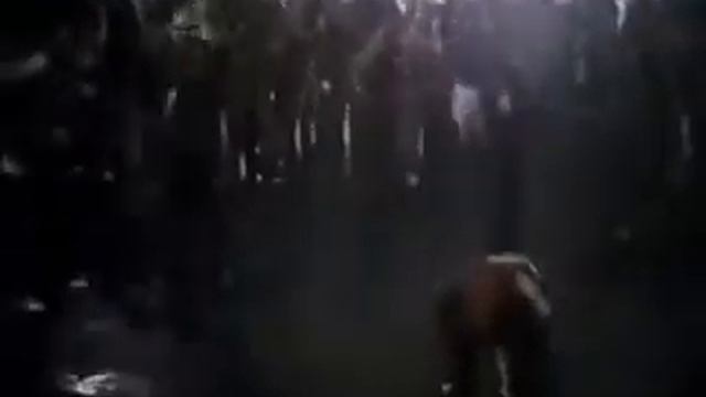 Шаг Вперёд 2 смотреть онлайн
