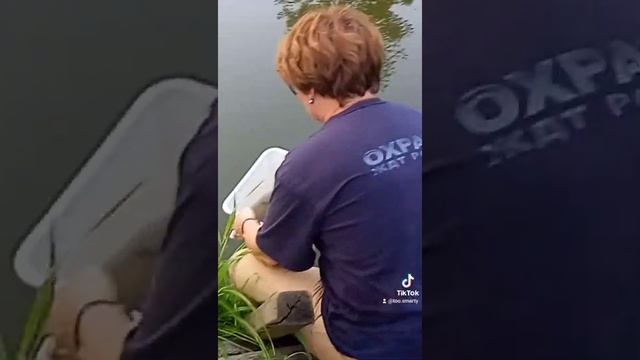 Любимое занятие немолодой женщины после огородных дел посидеть с удочкой у пруда и половить карасей смотреть онлайн