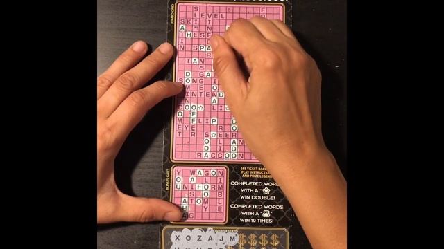 Won Again! Jumbo Crossword Illinois lottery Part2 смотреть онлайн
