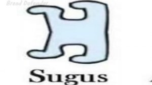 все виды абобуса