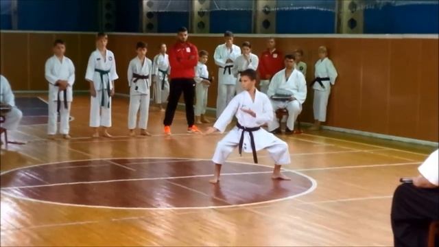 1-е открытое первенство по всестилевому каратэ ЧМР смотреть онлайн