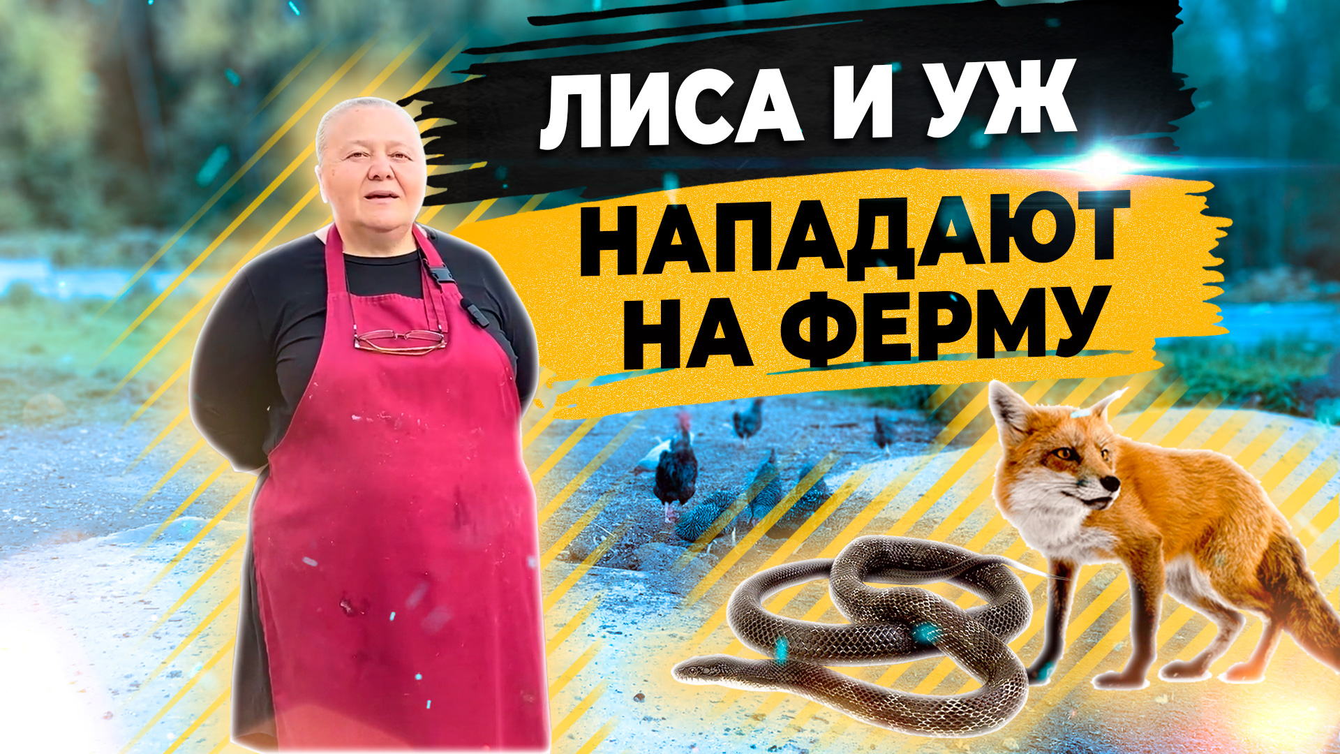 Лисы и змеи паразиты на ферме. Кто потребитель фермерской продукции? смотреть онлайн