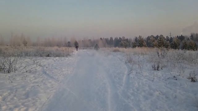 Тестовый Yamaha xg250 Trycker на гусенице смотреть онлайн