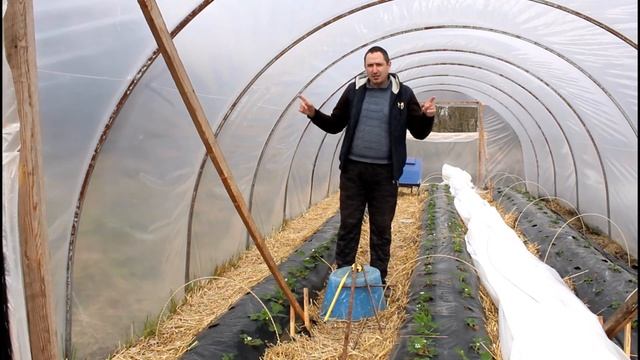 Балаган для клубники. СЕКРЕТЫ установки балагана.