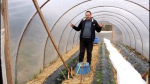 Балаган для клубники. СЕКРЕТЫ установки балагана.