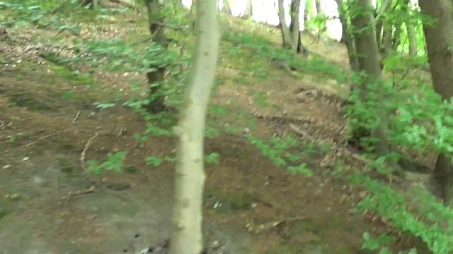 Canon Legria HF R306 Testvideo im WALD 1080p Full HD смотреть онлайн