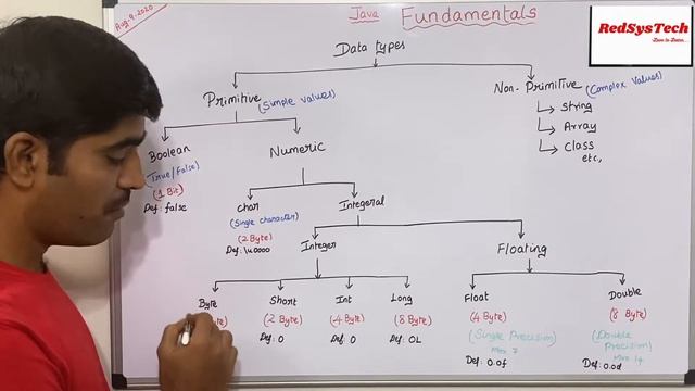 # 27 What are data types in Java? | data types | Primitive and Non-primitive | Java | RedSysTech смотреть онлайн