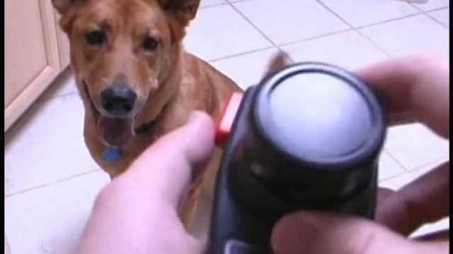 Classic Game Room - ATARI 2600 DRIVING CONTROLLERS review смотреть онлайн