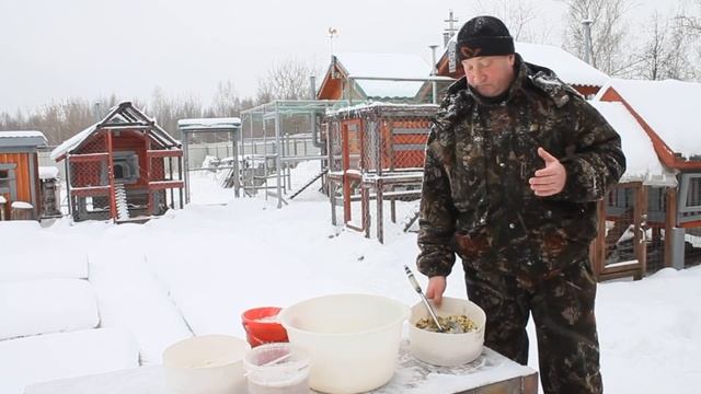 Самый выгодный корм для кур несушек. смотреть онлайн