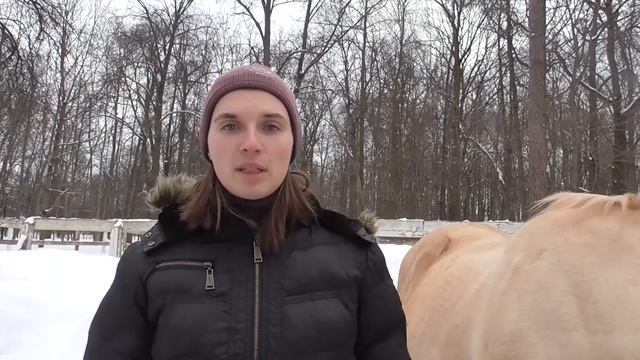 Сколько нужно работать лошадь? смотреть онлайн