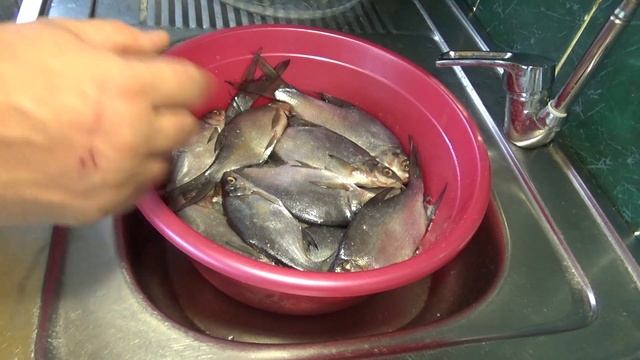 КАК СОЛИТЬ РЫБУ ПРОСТОЙ И БЫСТРЫЙ ДЕДОВСКИЙ СПОСОБ КАК СУШИТЬ РЫБУ ВЯЛЕНАЯ РЫБА смотреть онлайн