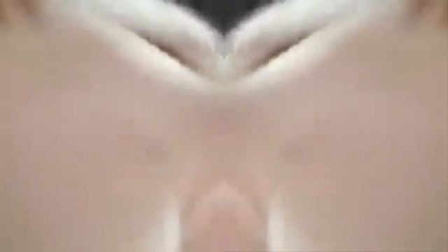 Cat Jam Double смотреть онлайн