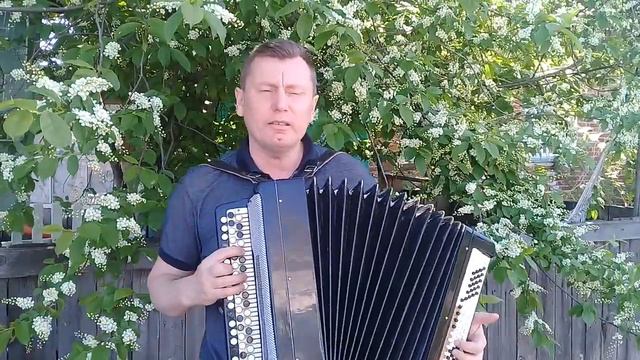 А ТЫ НЕ ПЛАЧЬ МОЯ ДИВЧИНА//ЛЕОНИД МАЛЬЦЕВ//БАРДОВСКИЕ ПЕСНИ # бардовскиепесни смотреть онлайн