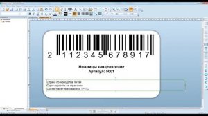Как создать штрихкод для маркетплейсов / сделать маркировку товара в BarTender и что указать