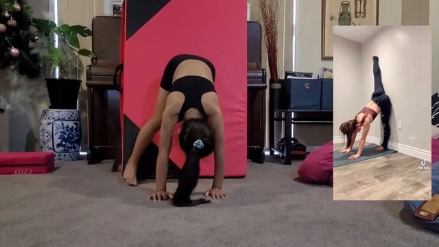 Split Challenges from Tiktok Videos | Sophia's World of Gymnastics смотреть онлайн