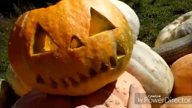 СВЕЧА ТЫКВА СВОИМИ РУКАМИ смотреть онлайн