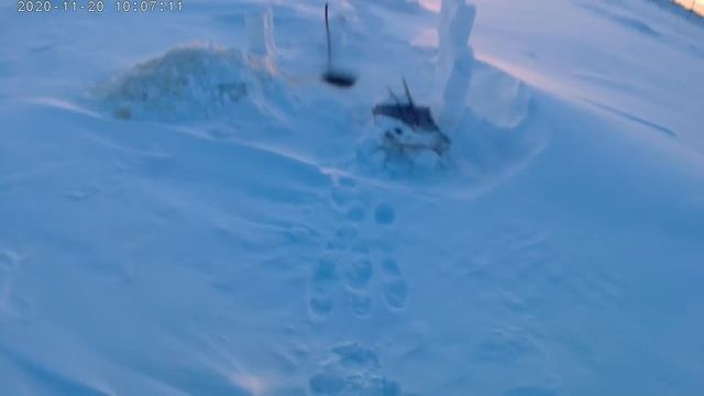 Проверка крючков на налима 20 11 2020 смотреть онлайн