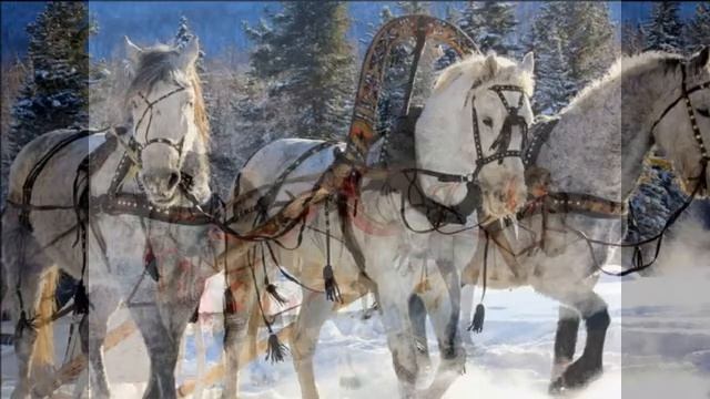 Сергей Есенин. - Свищет ветер смотреть онлайн