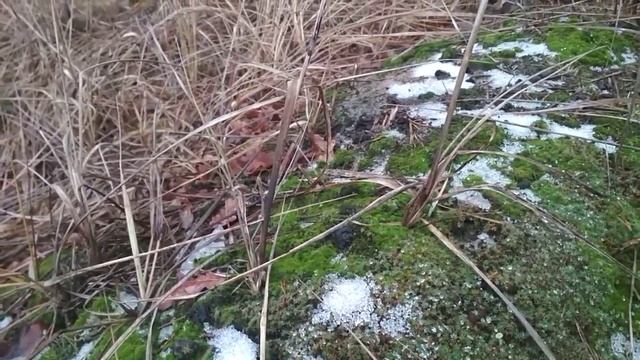 Люблю людей в прекрасном настроении Э Асадов смотреть онлайн