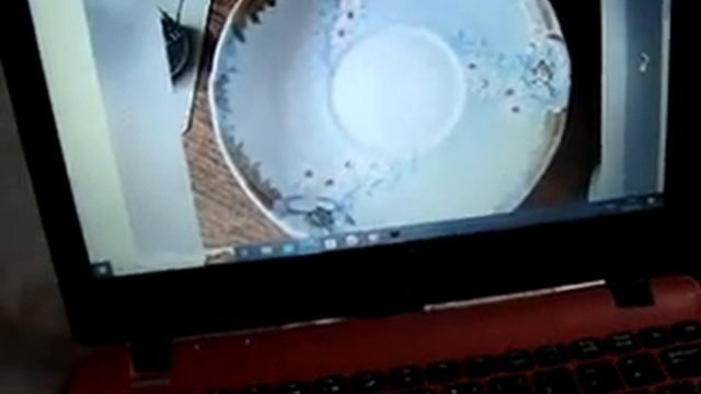 Удалось купить недорого ! Блюдце Гарднер смотреть онлайн