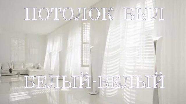 ЧЕРНЫЙ КОТ смотреть онлайн