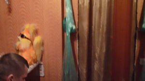 Посадка сетей любой сложности № 3