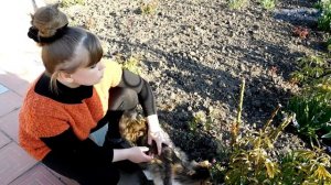 Флокс шиловидный уход посадка выращивание дома на даче посадка флокс