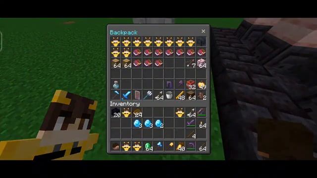 Hurry Join Now!!! My DN Smp || Free For all minecraft player || Java/bedrock/pojav & Pe смотреть онлайн