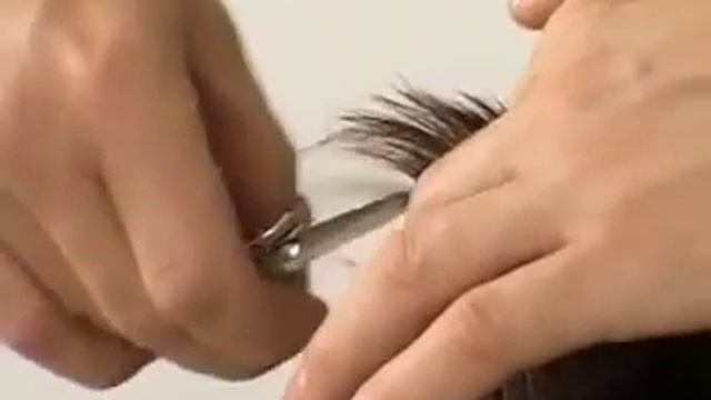 Александр Тодчук Уроки мастера 5 смотреть онлайн