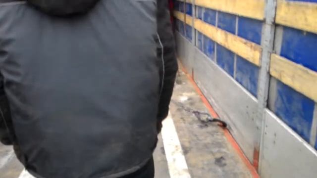 передвигаем в машине жб кольцо смотреть онлайн