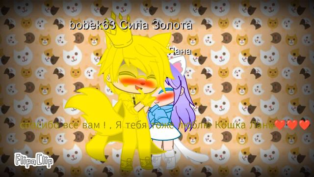 🌈 и мы Поздравляем Бобика с днём Защитника отечества 23 февраля и кошка Лана его тоже и они пара🌈 смотреть онлайн