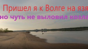 Волга в Волгограде рыбалка на донную удочку с трофеями.